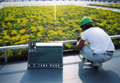屋上緑化工事